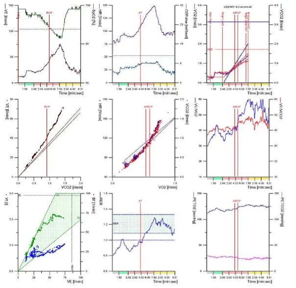 Figure 1. Typical nine panel plot in a patient with IPAH