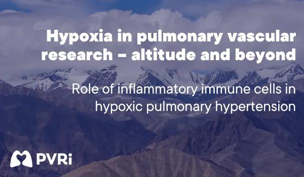 role of inflammatory immune cells in hypoxic ph