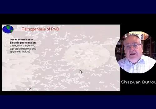 Ghazwan Butrous during an iPVD webinar