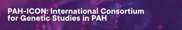 PAH-Icon Banner