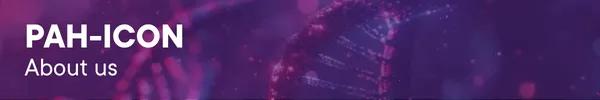 PAH-Icon banner - about us