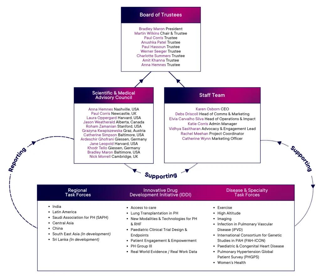PVRI Structure April 2026