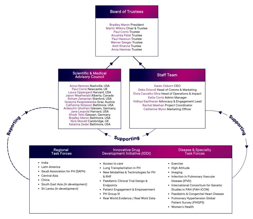 PVRI Structure April 2026