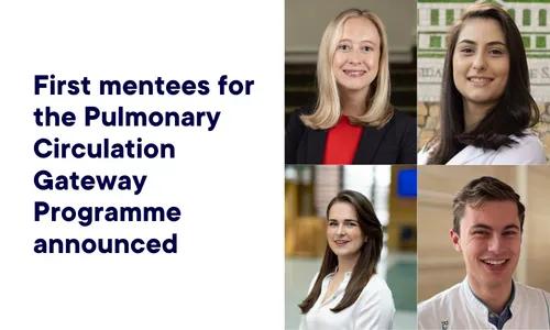 Graphic displaying the four mentees headshots